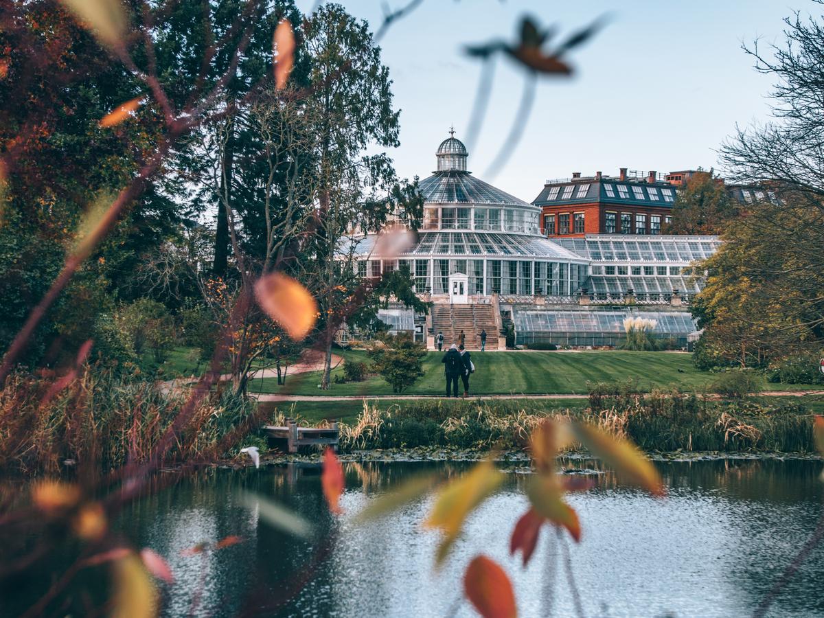 Botanical Garden in Copenhagen in autumn