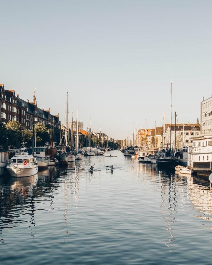 Kayaks in the canals of Copenhagen