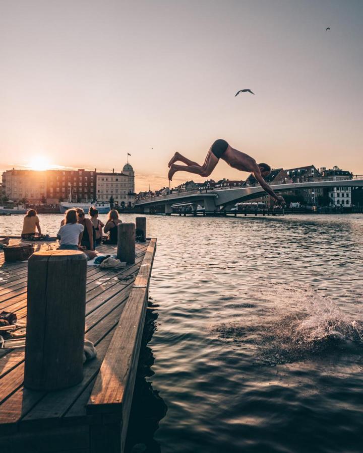 Evening swim in Copenhagen harbour