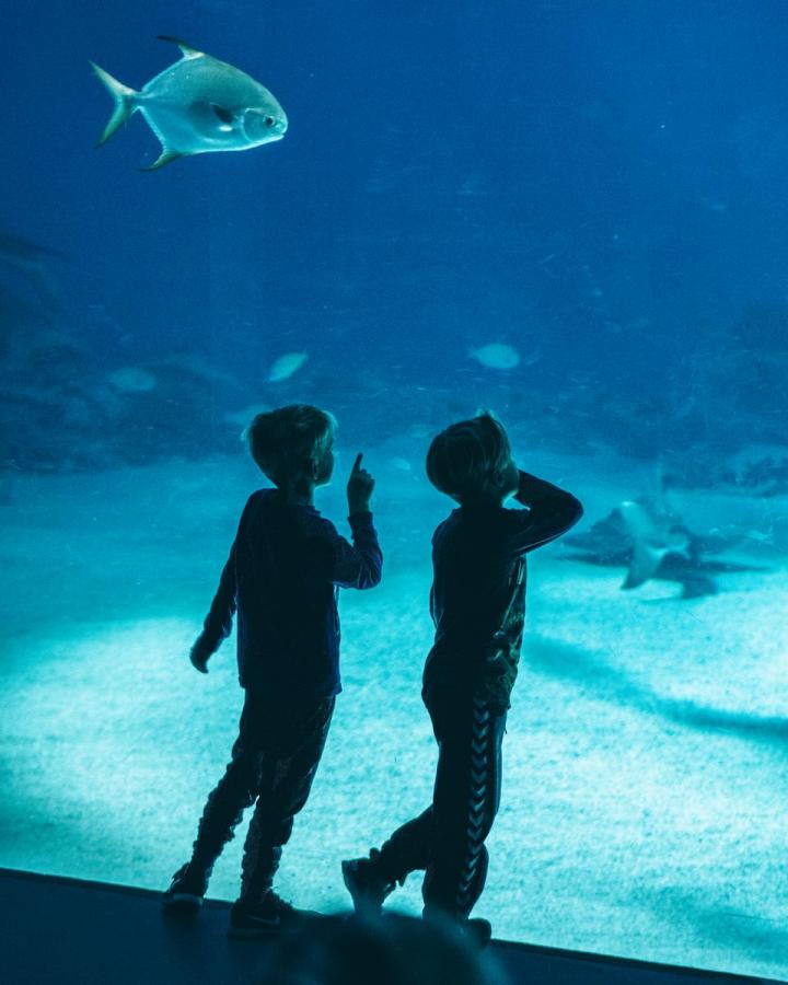 The National Aquarium in Copenhagen