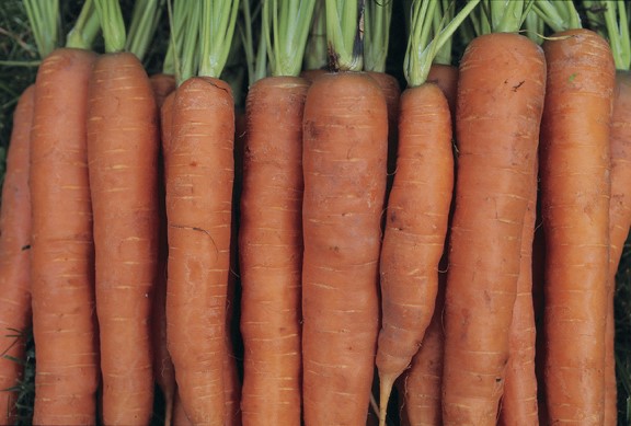 Carrots