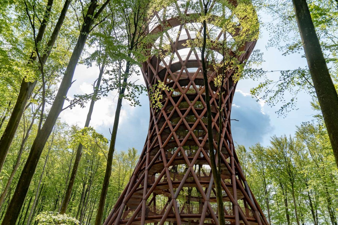 The Tower - Camp Adventure