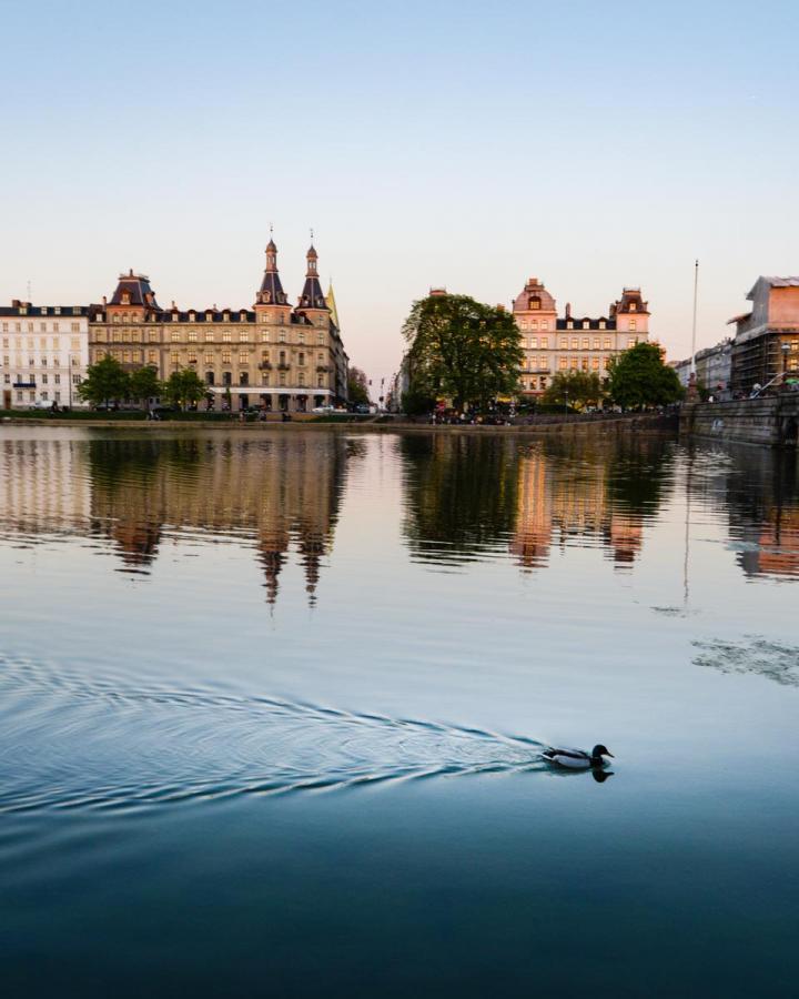Evening light by the Copenhagen Lakes