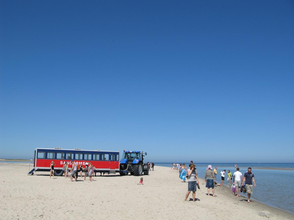 Skagen Grenen and the Sandworm