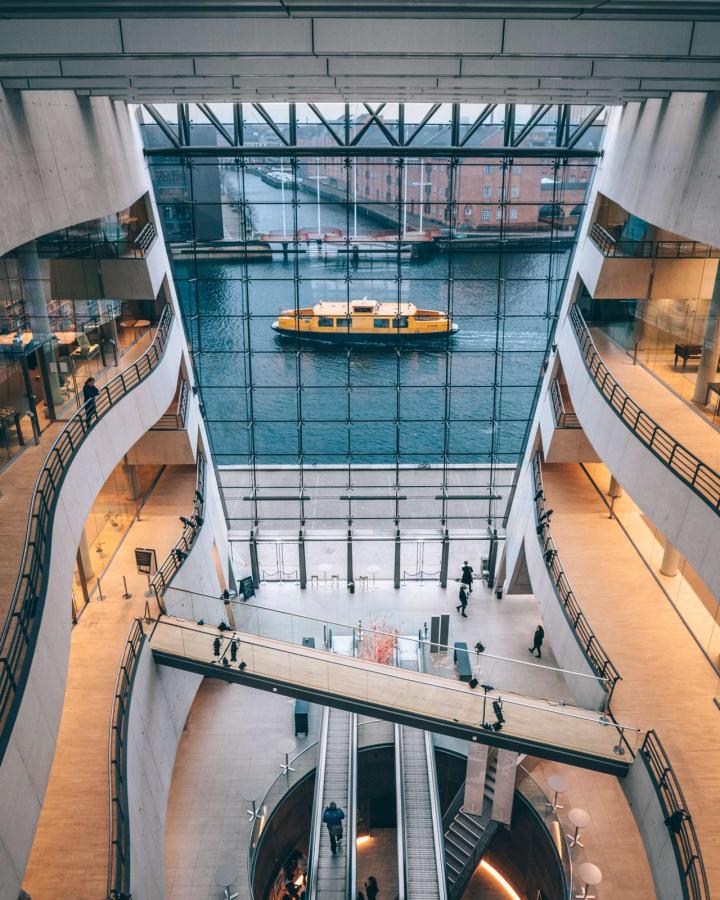 The black diamond, library