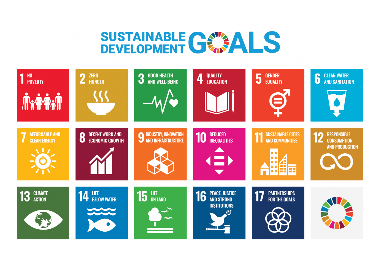 The 17 UN SDG's