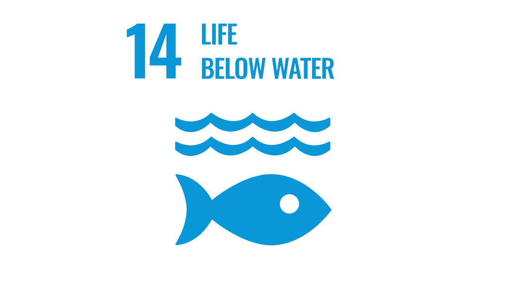 SDG 14 Life below water