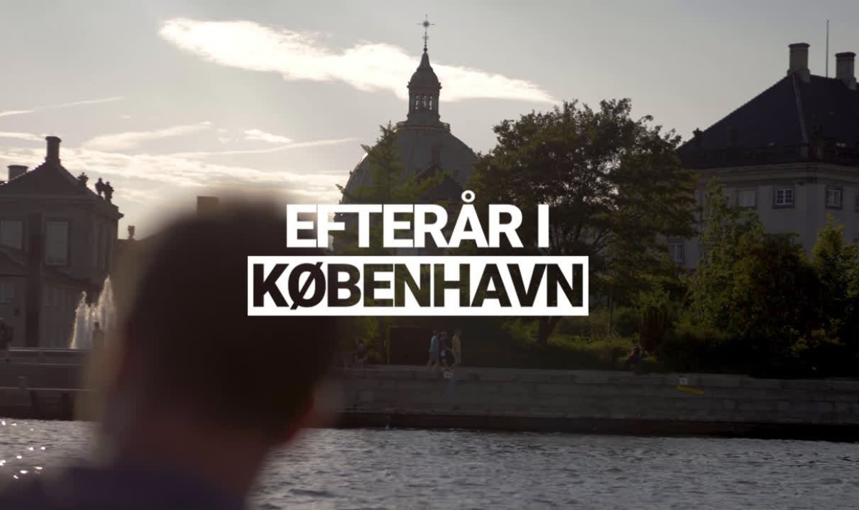 Danmarkskampagne - efterår
