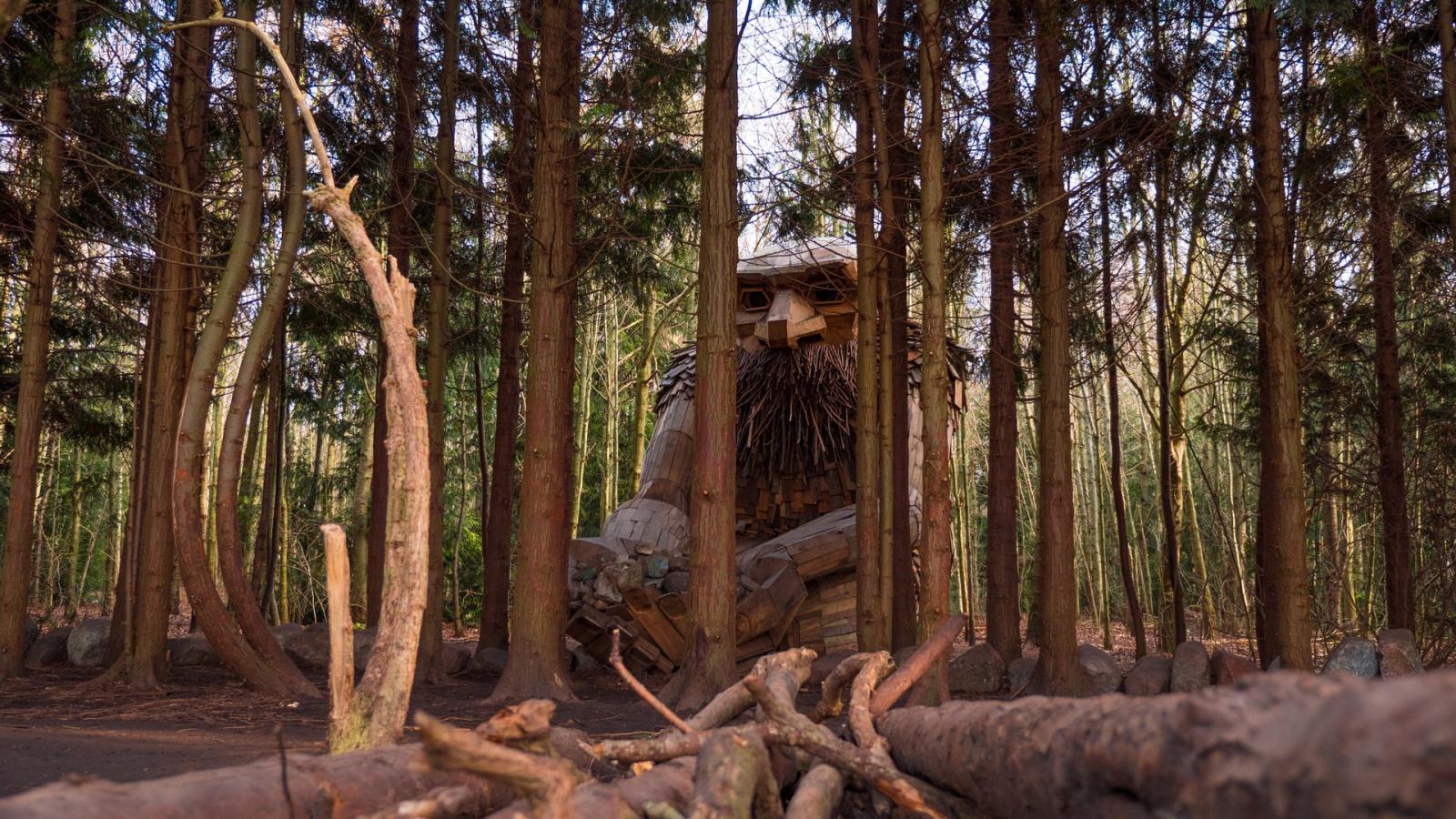 Hidden giants, skjulte kæmper, Thomas Dambo