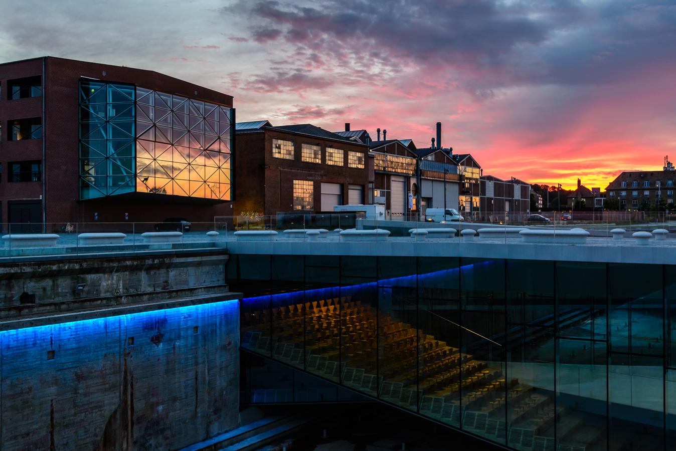 the culture yard in elsinore