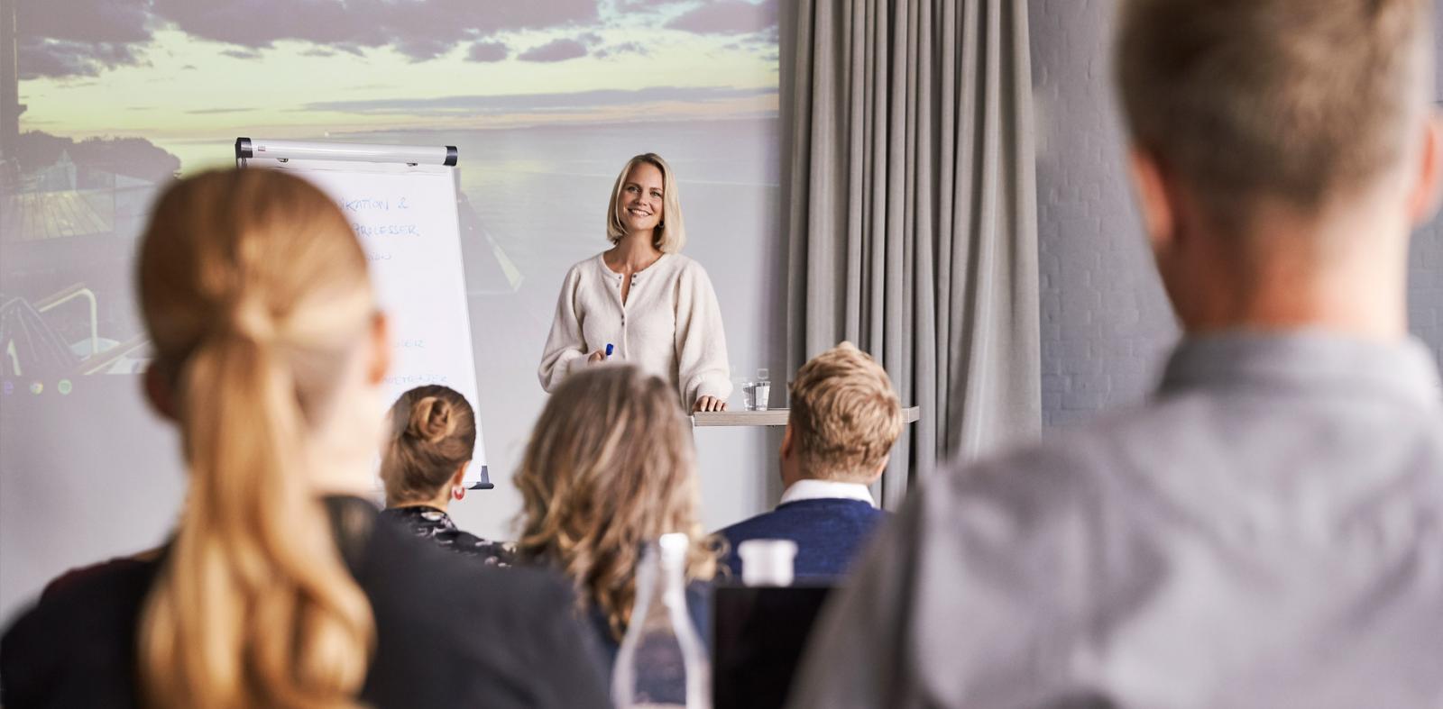 meeting conference elsinore hotel marienlyst copenhagen