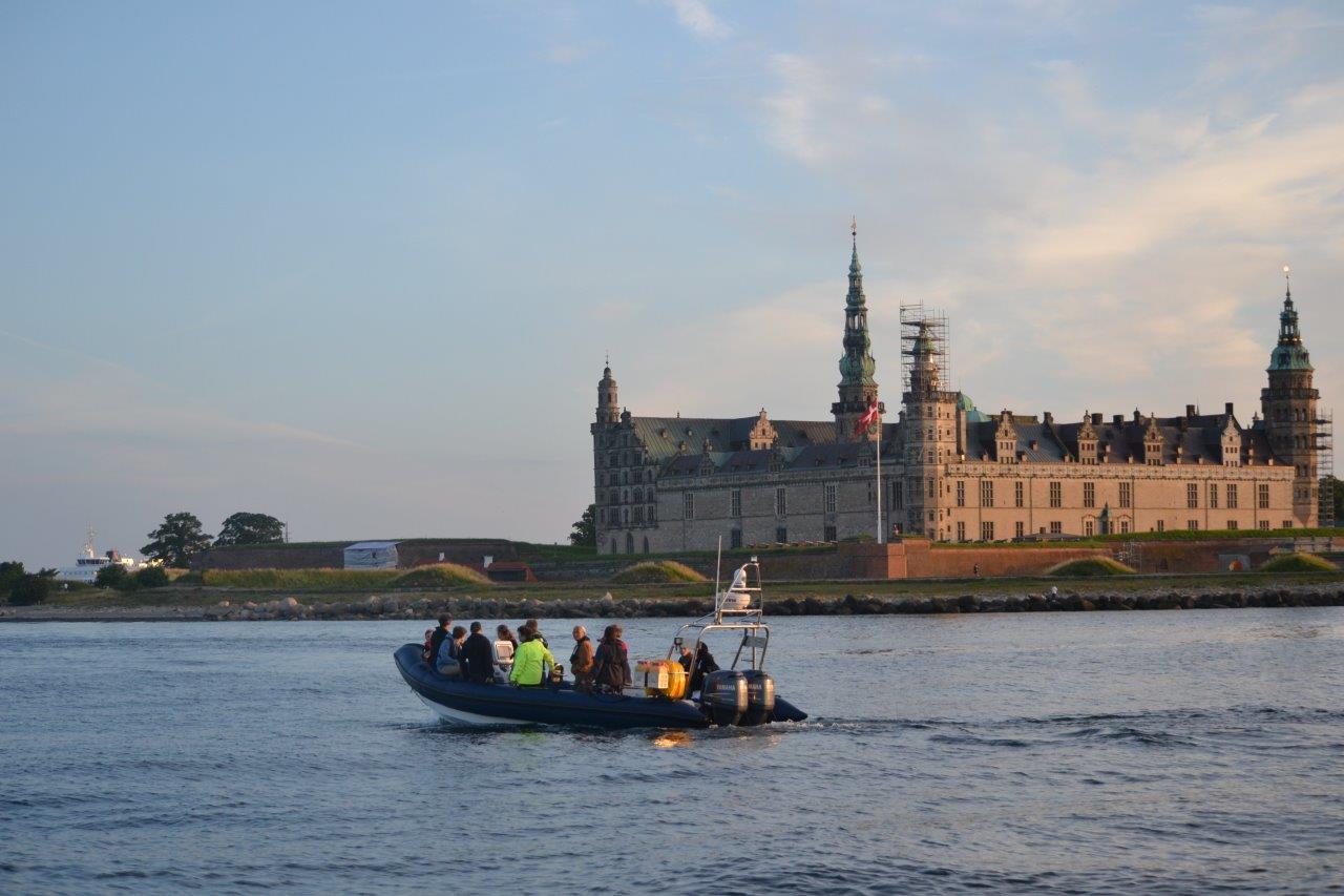 sea safare øresund aquarium elsinore