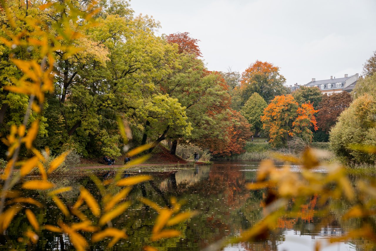 Copenhagen, autumn