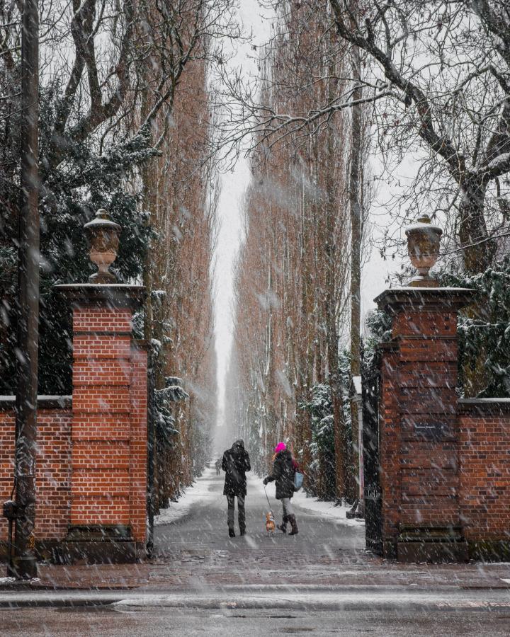 Assistens kirkegården