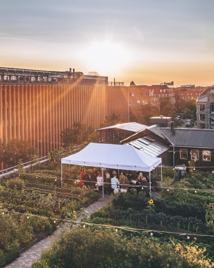 Conversations: Dagsordensættende kulturoplevelser