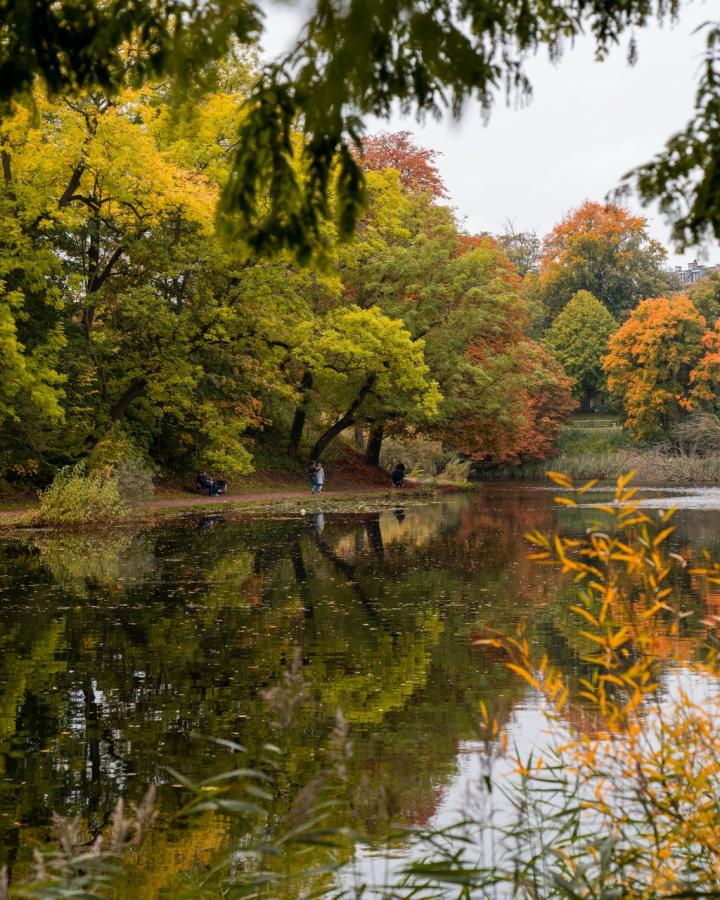 Initiativ 11: Hovedstaden forrest på bæredygtighed