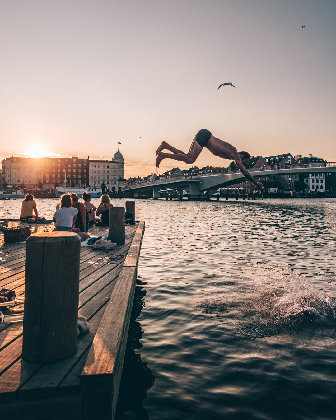 Evening swim in Copenhagen Harbour
