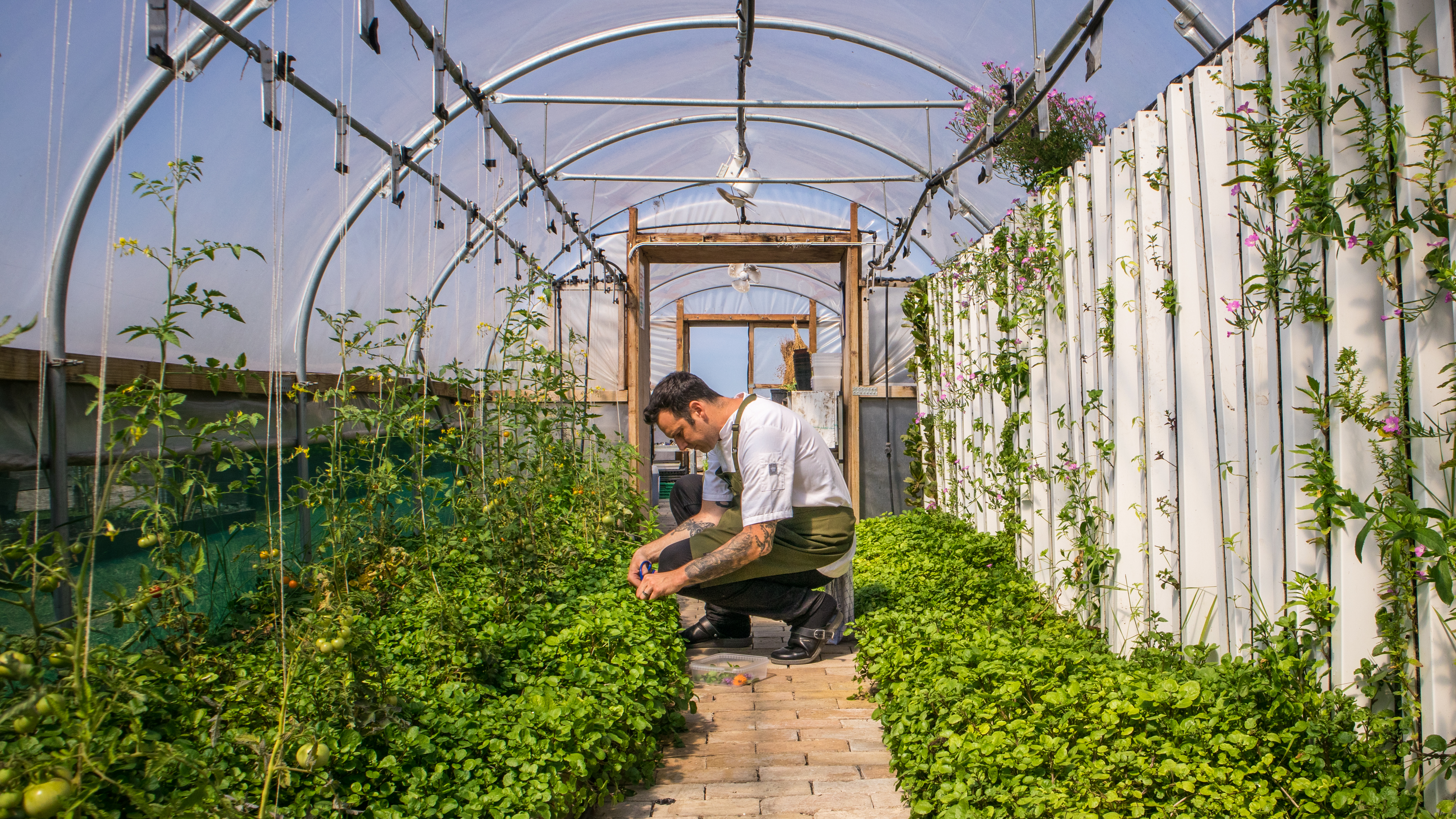 Amass-Giuseppe-Liverino-17 (2).jpg