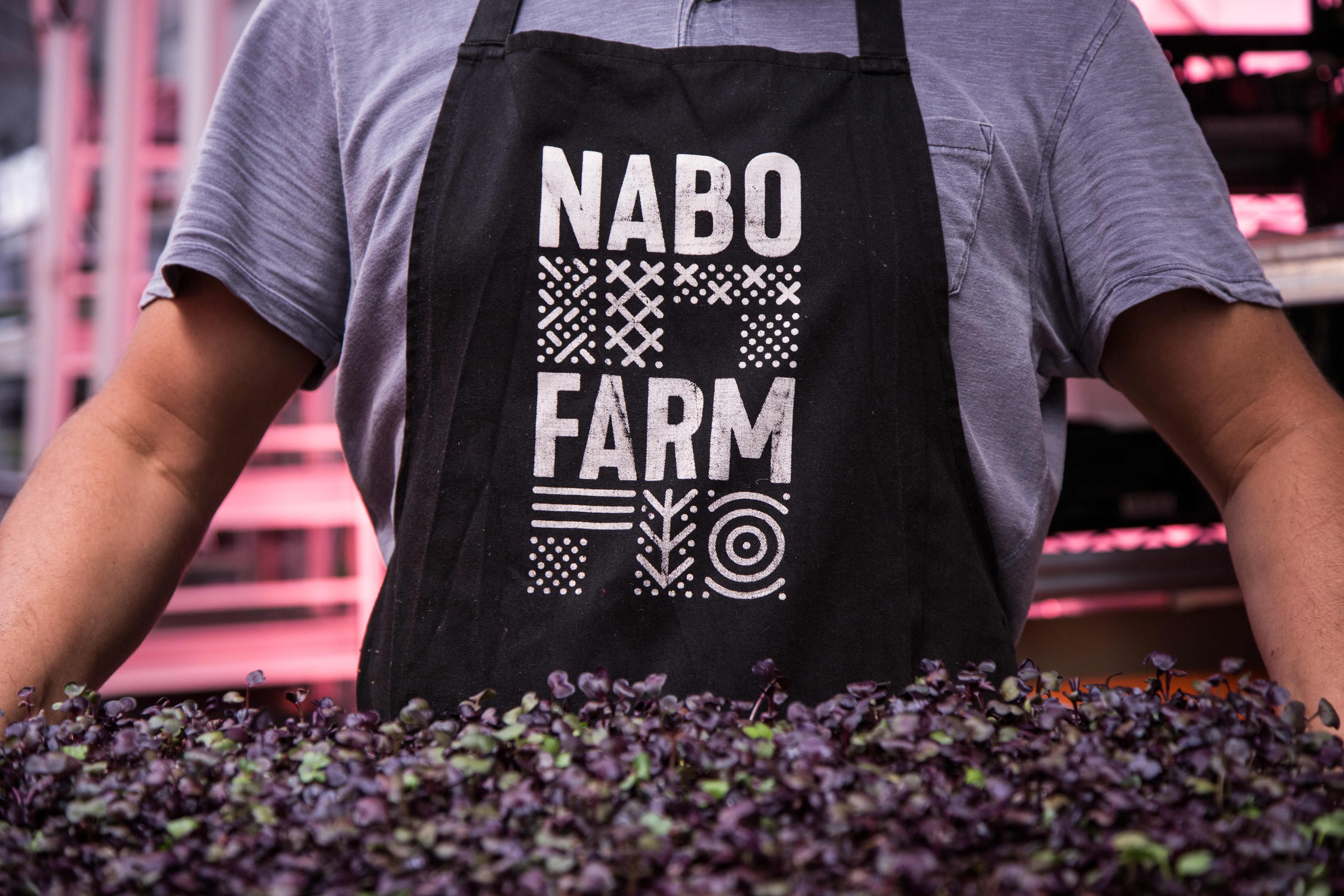 Nabo farm