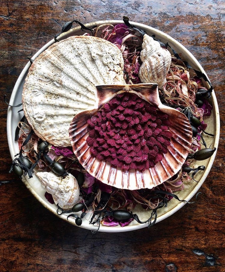 The Pescatarian