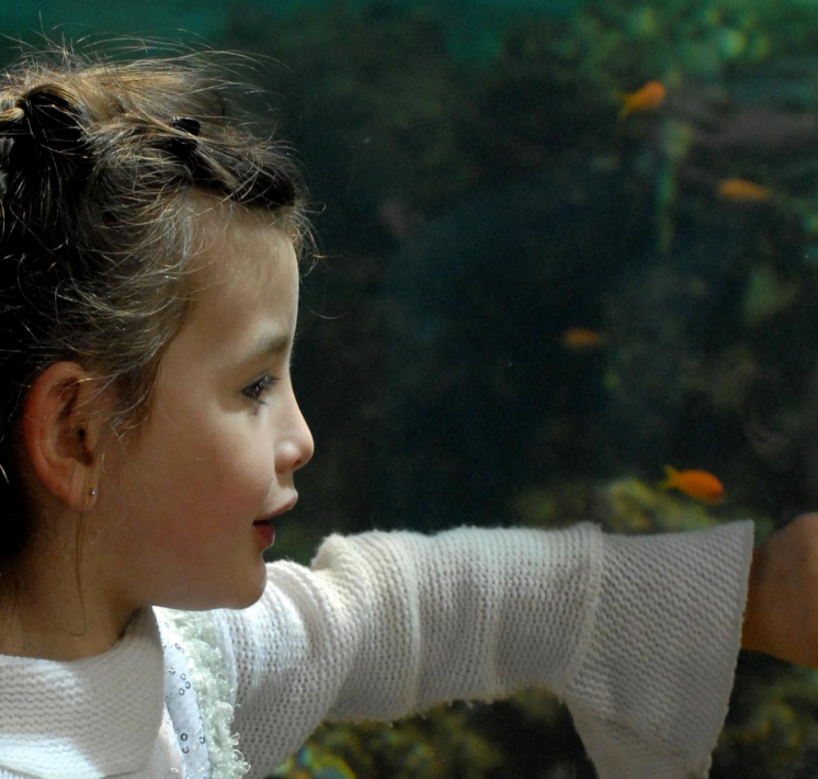 Guide til grønne attraktioner