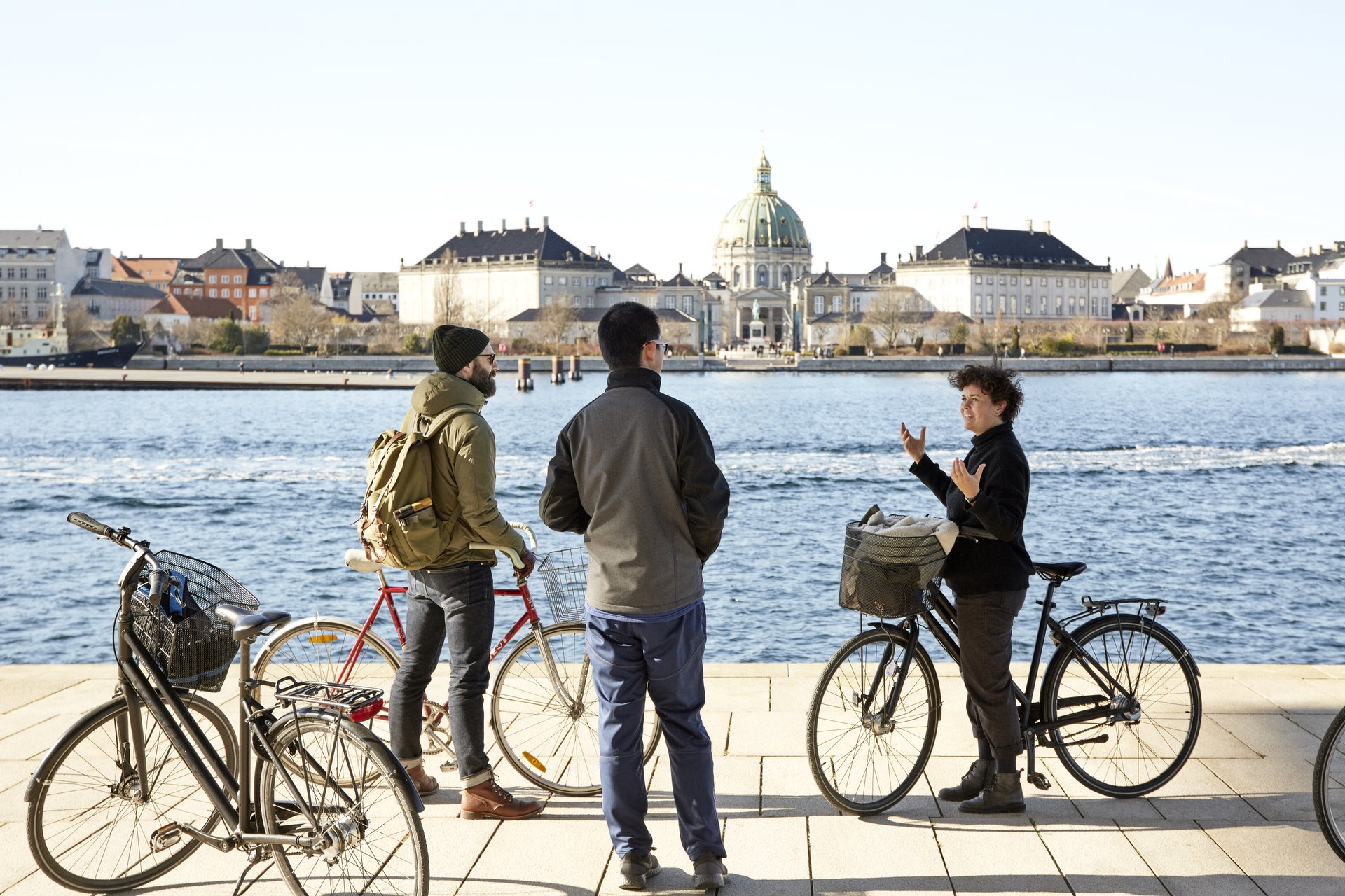 harbour guided bike tour