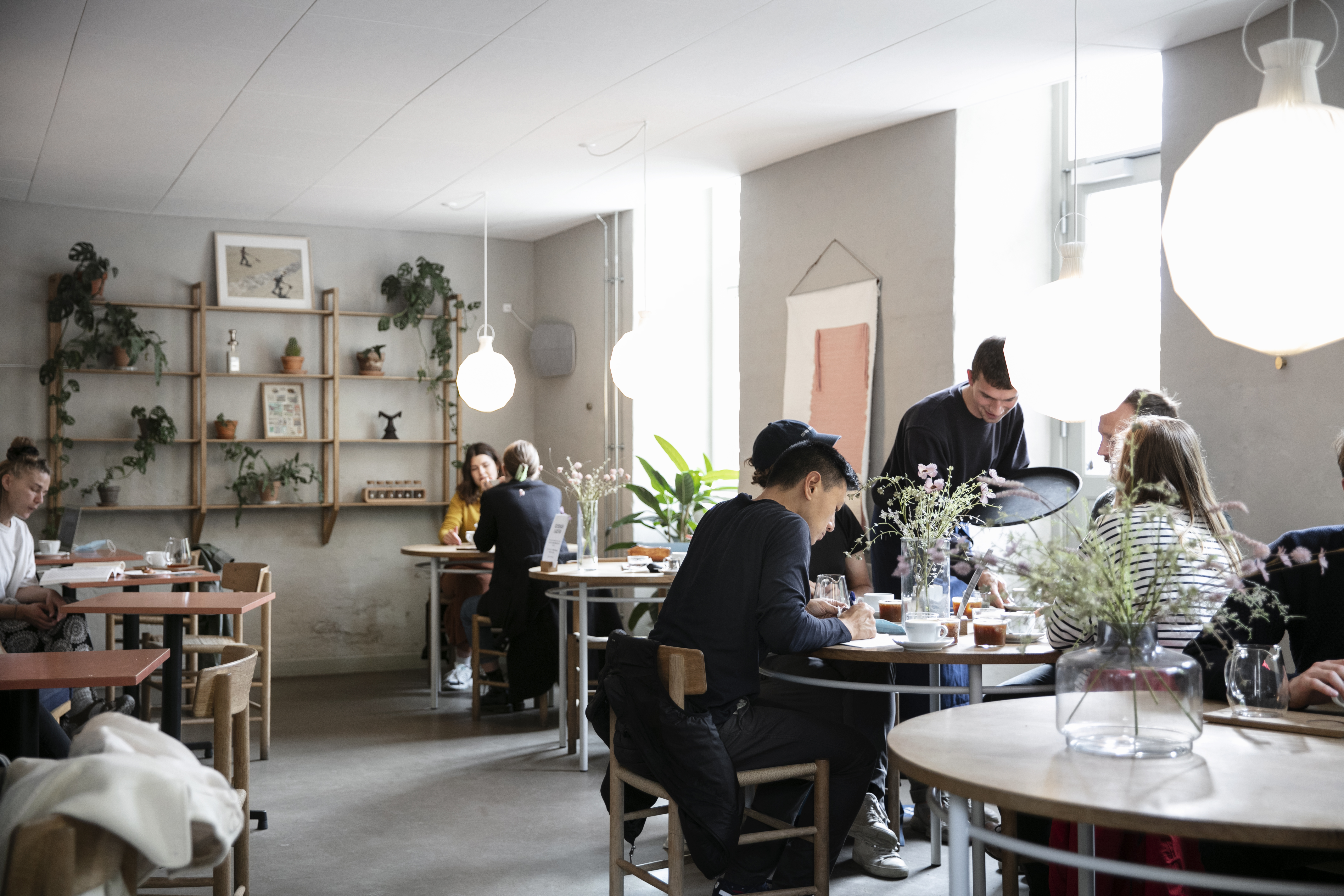 Coffee Collective