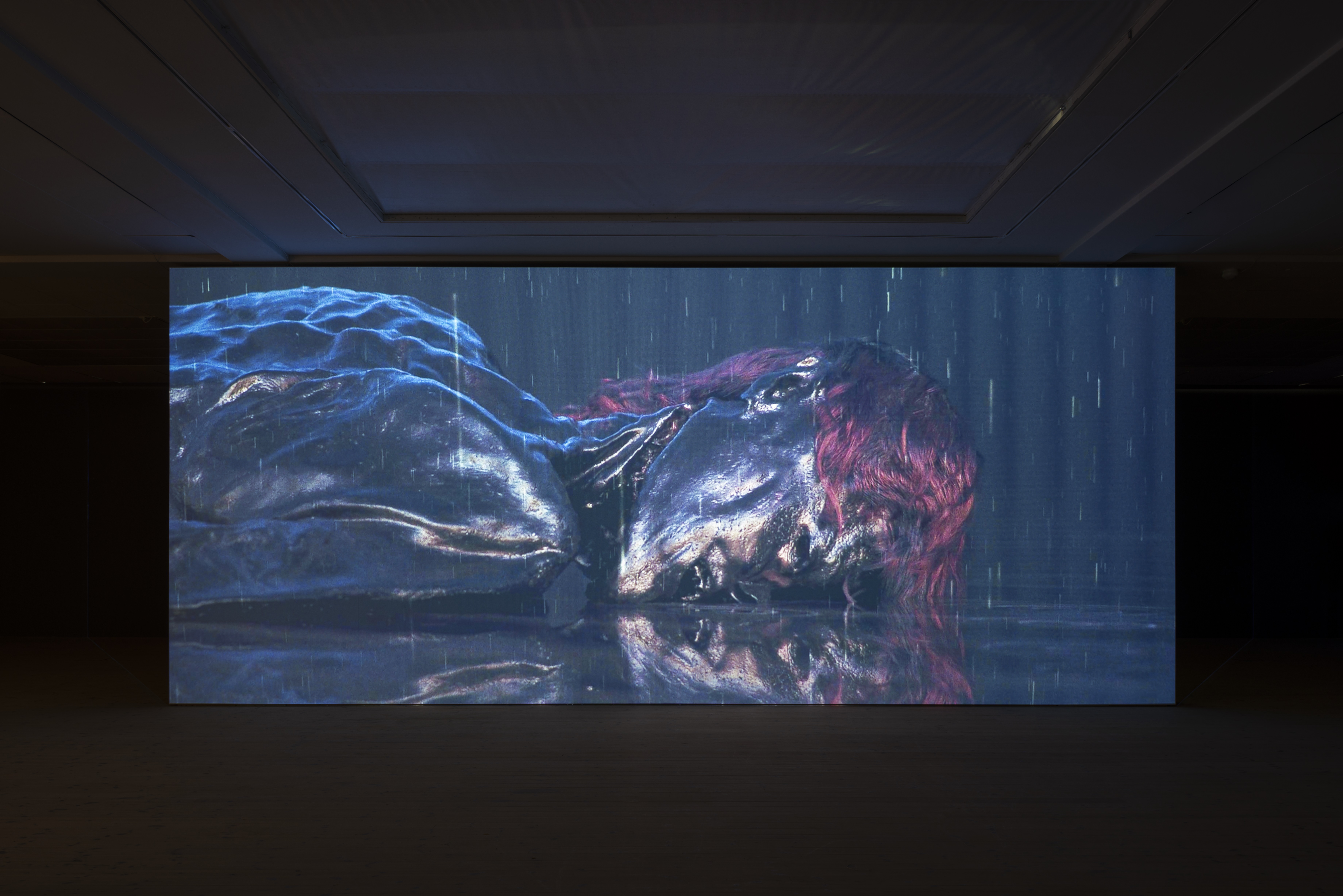 Kunsthal Charlottenborg - Simon Dybbroe Møller: Thick & Thin