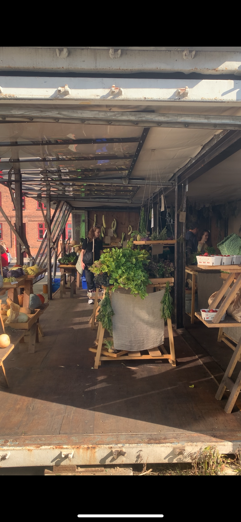 Grønner Bønner Skjolds Plads