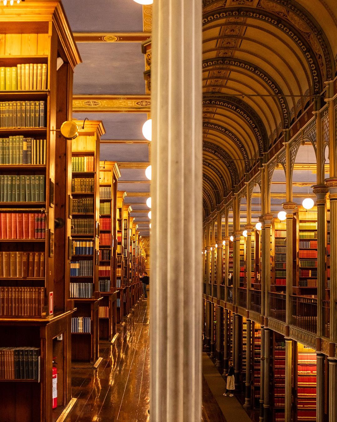 The University Library