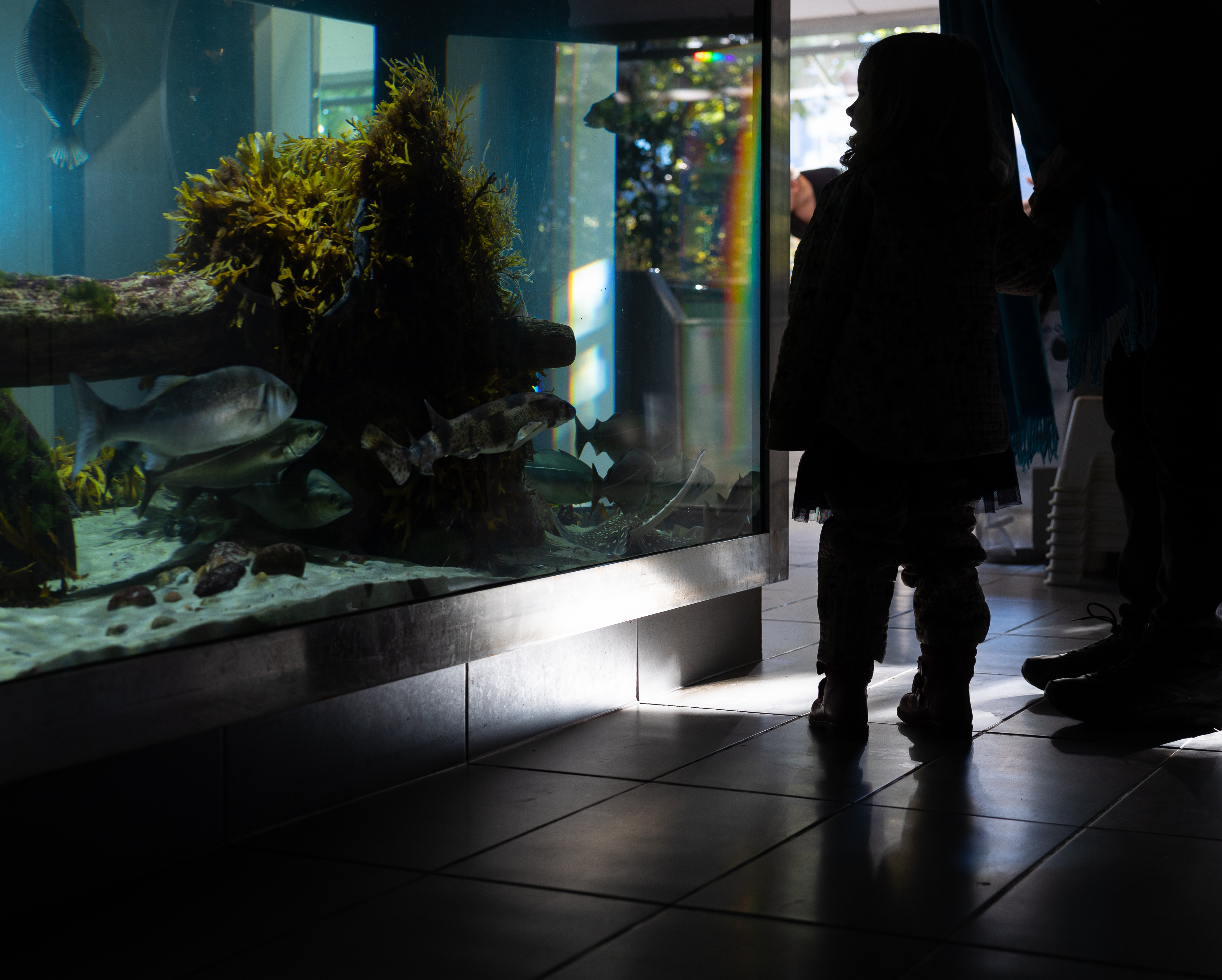 Øresund Aquarium
