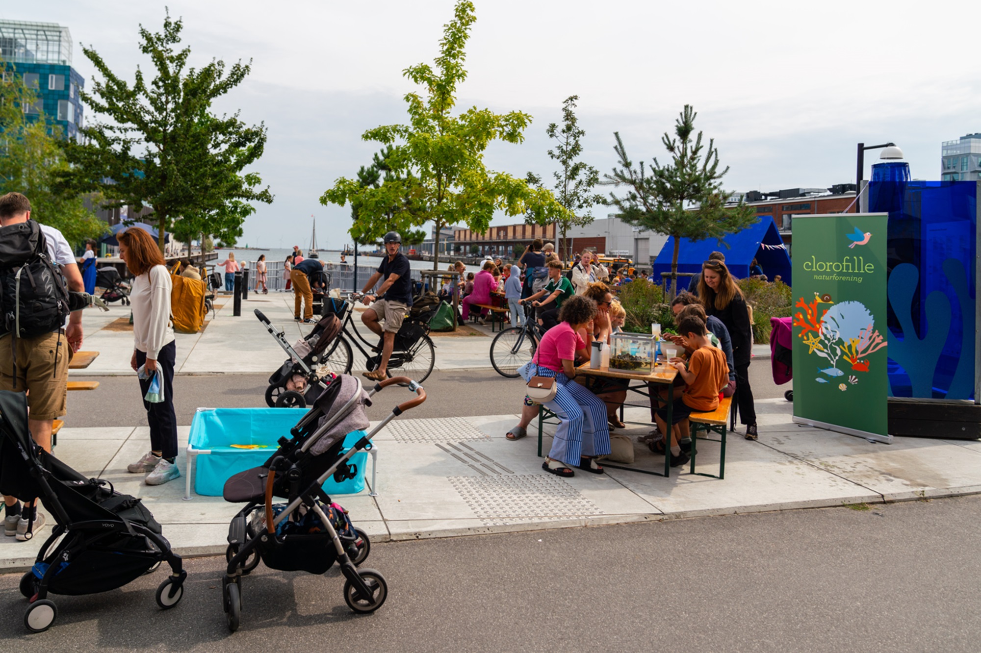 Cultigen Citizen Engagement