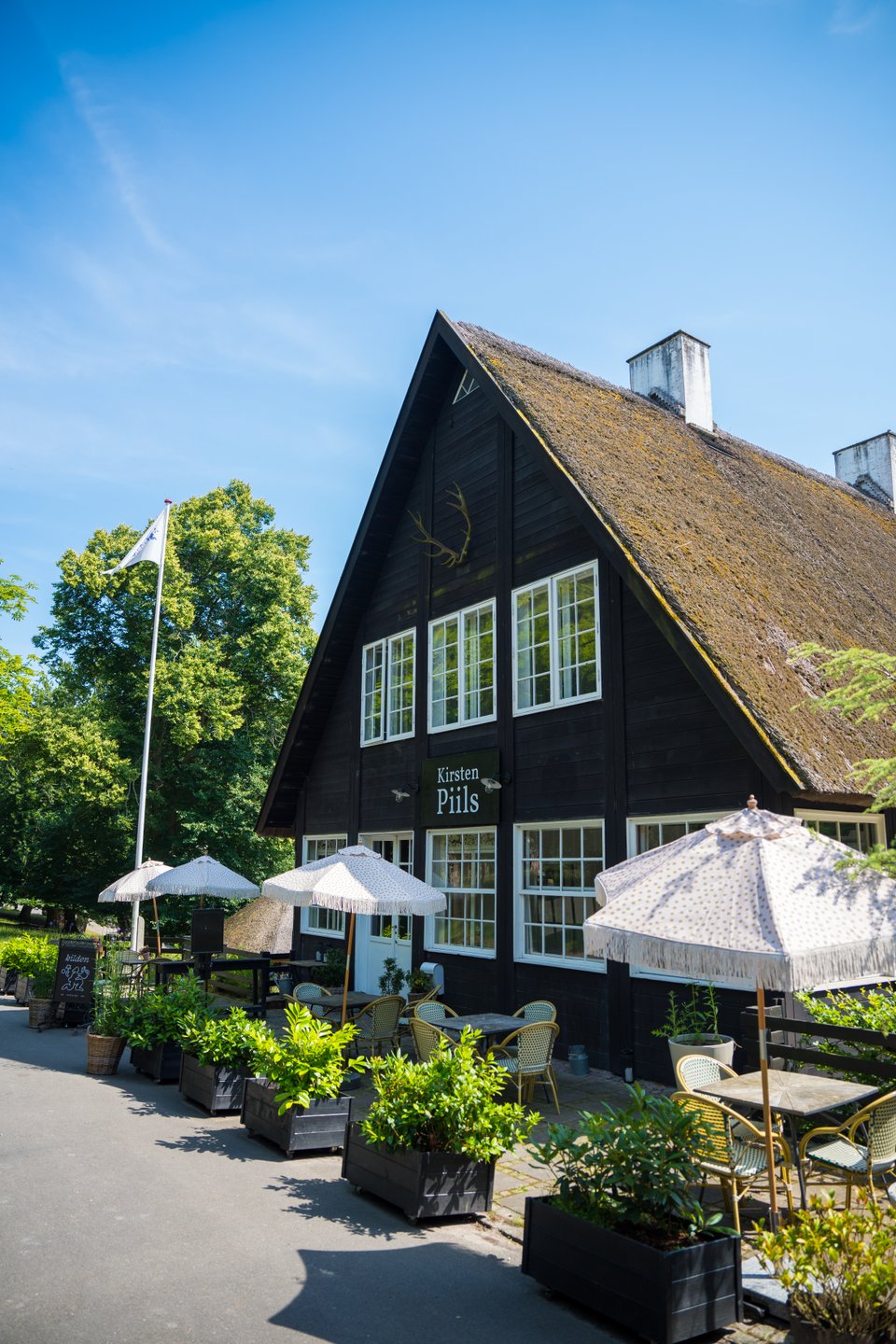 Kilden i skoven Dyrehaven Kirsten