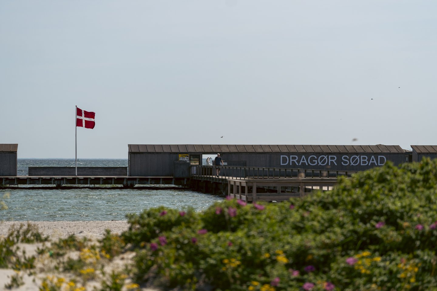 Dragør