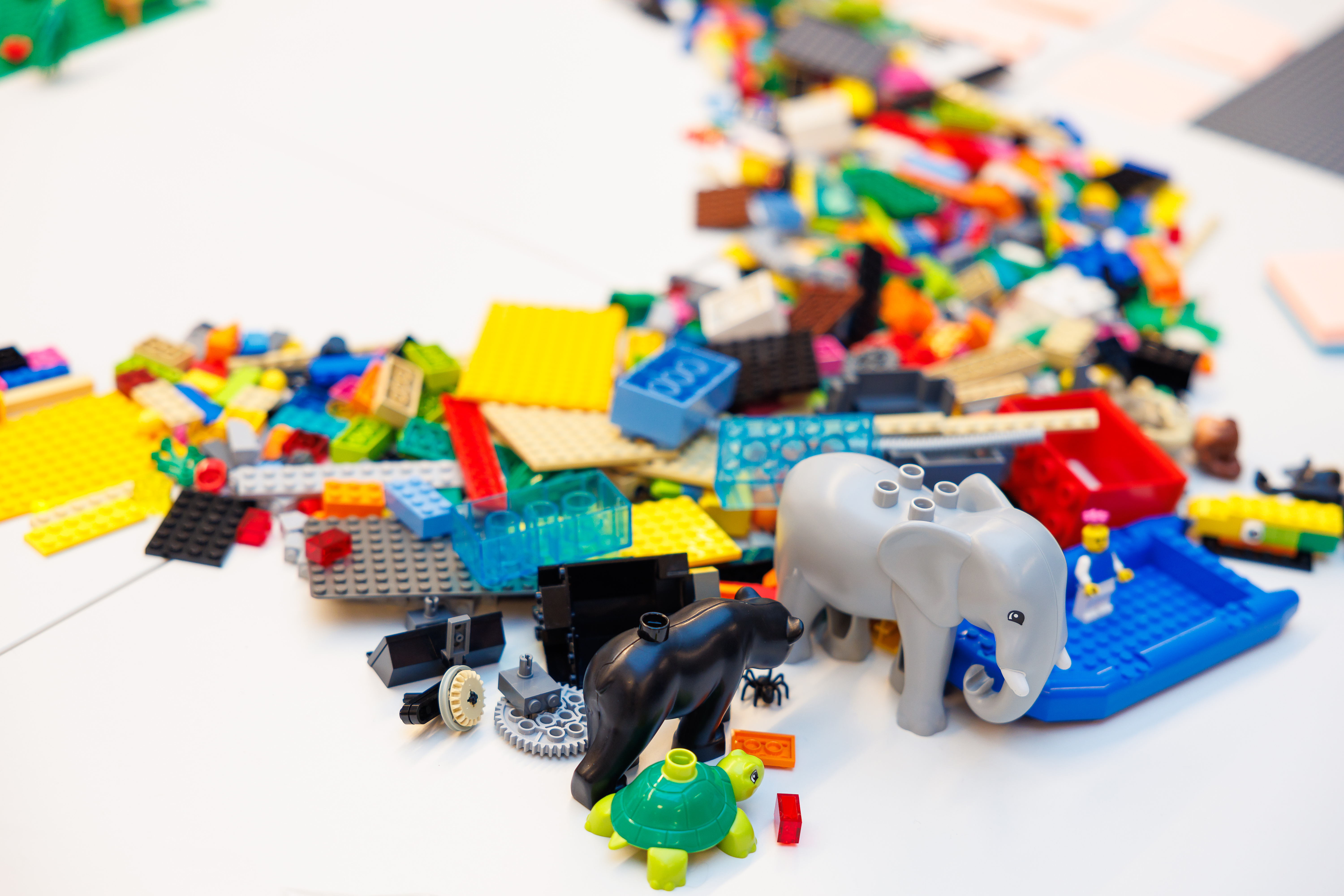 LEGO® SERIOUS PLAY® Workshop