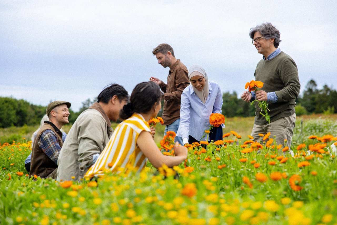 billede 4 meetdenmark