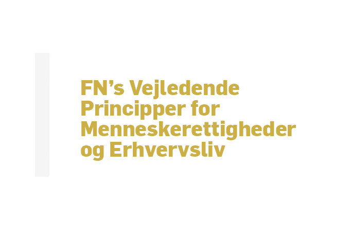 FN's Vejledende Principper