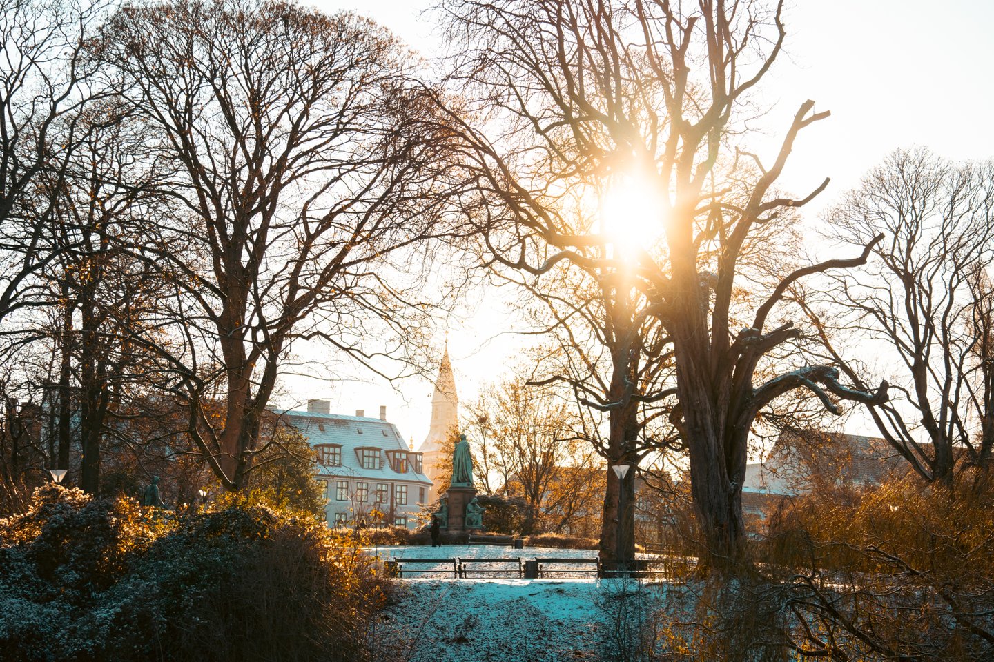 Vintersne i ørstedsparken