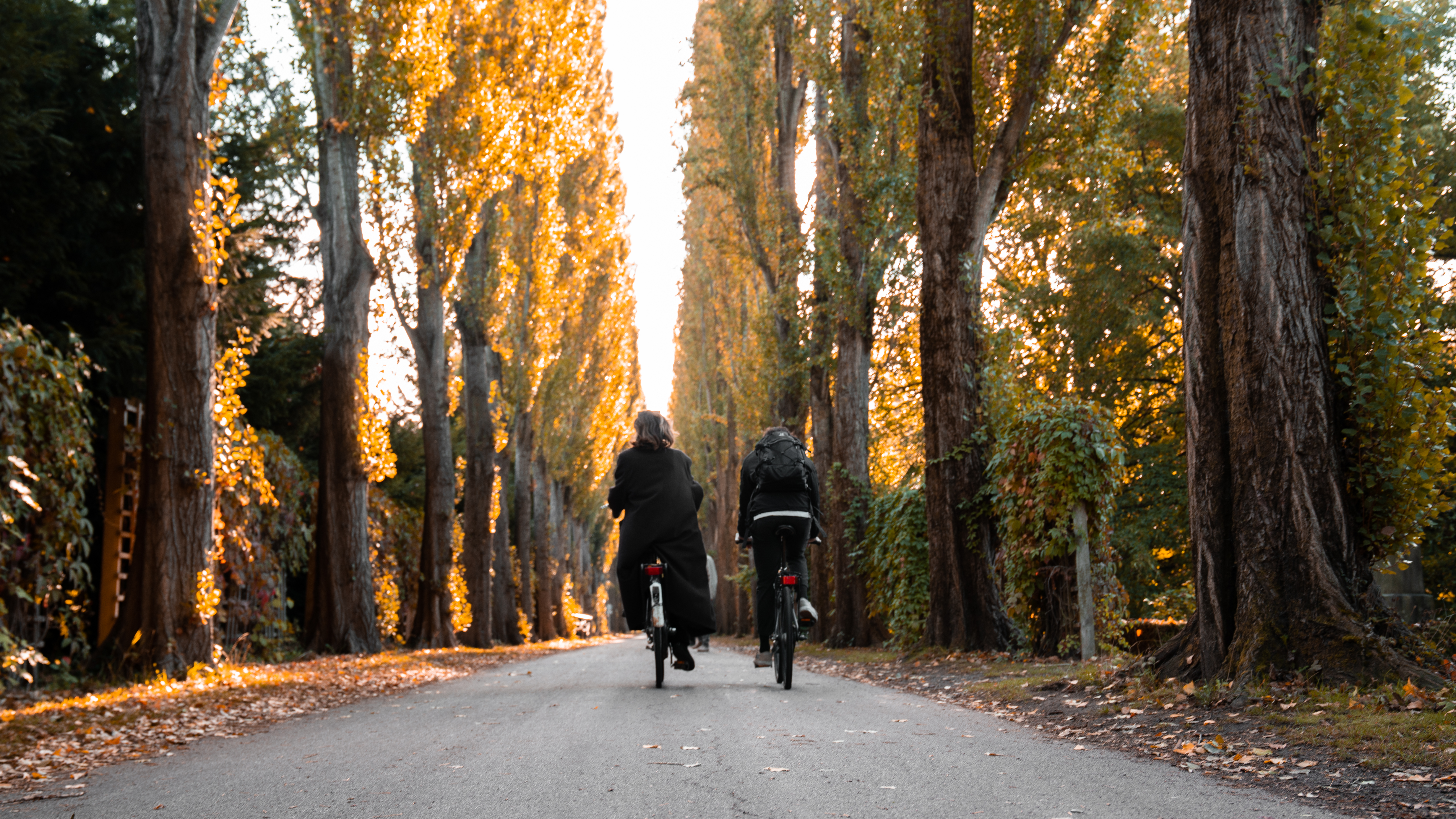 Assistens Kirkegård