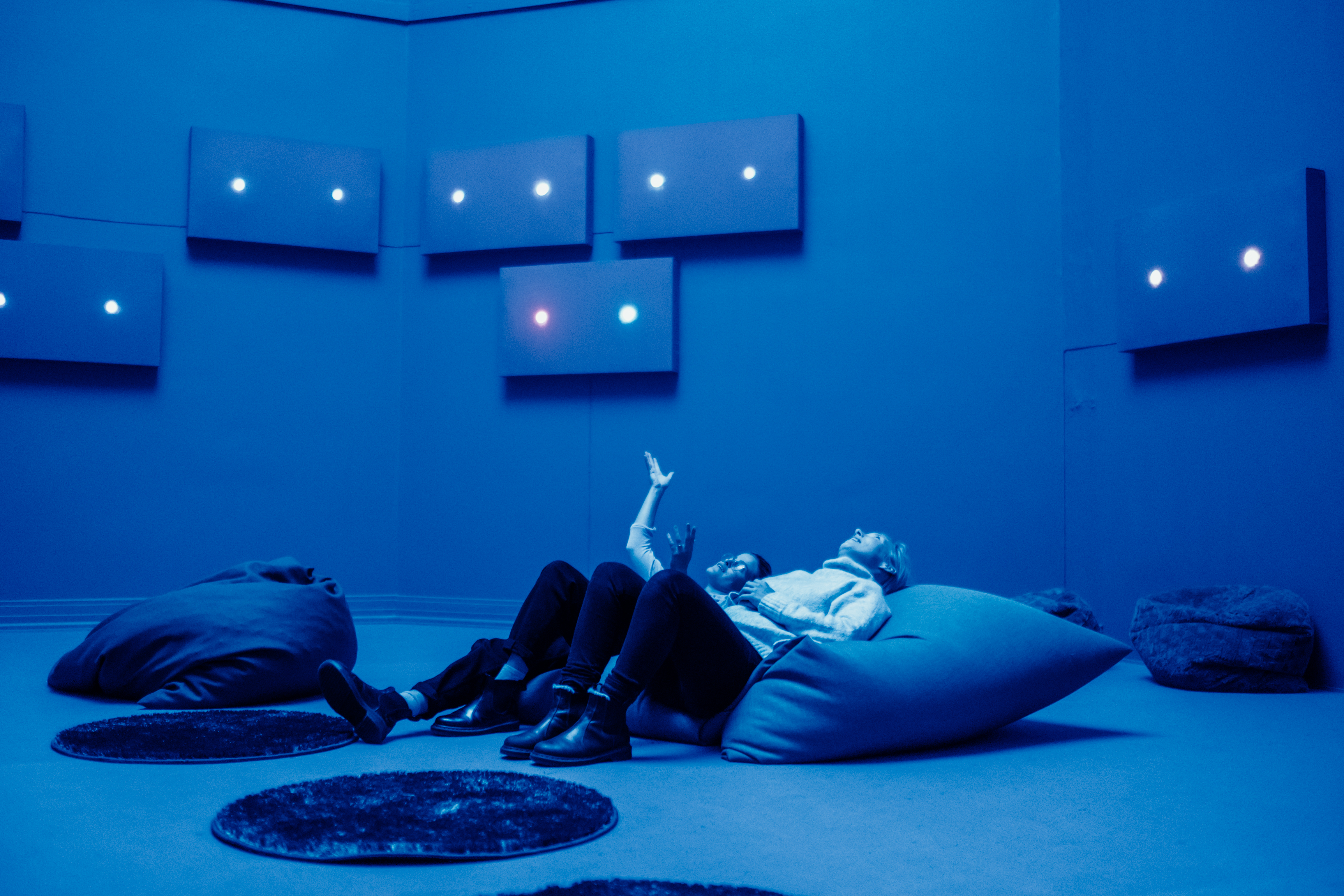 Udstilling - liggende gæster