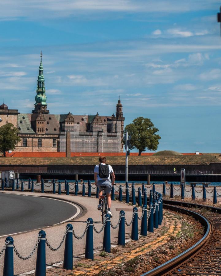 Markeds- og potentialeanalyse Helsingør