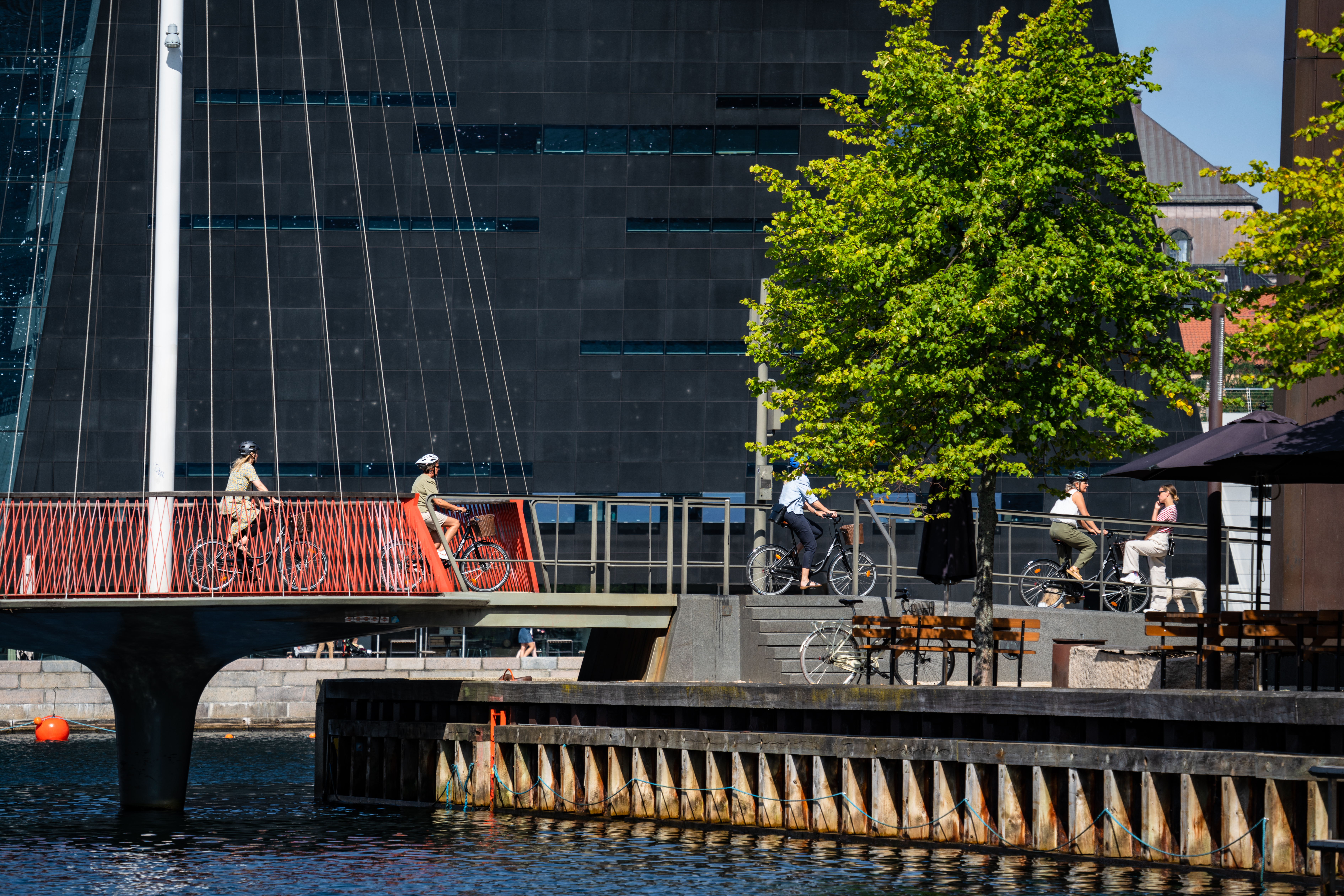 Sailing and enjoying summer in Copenhagen