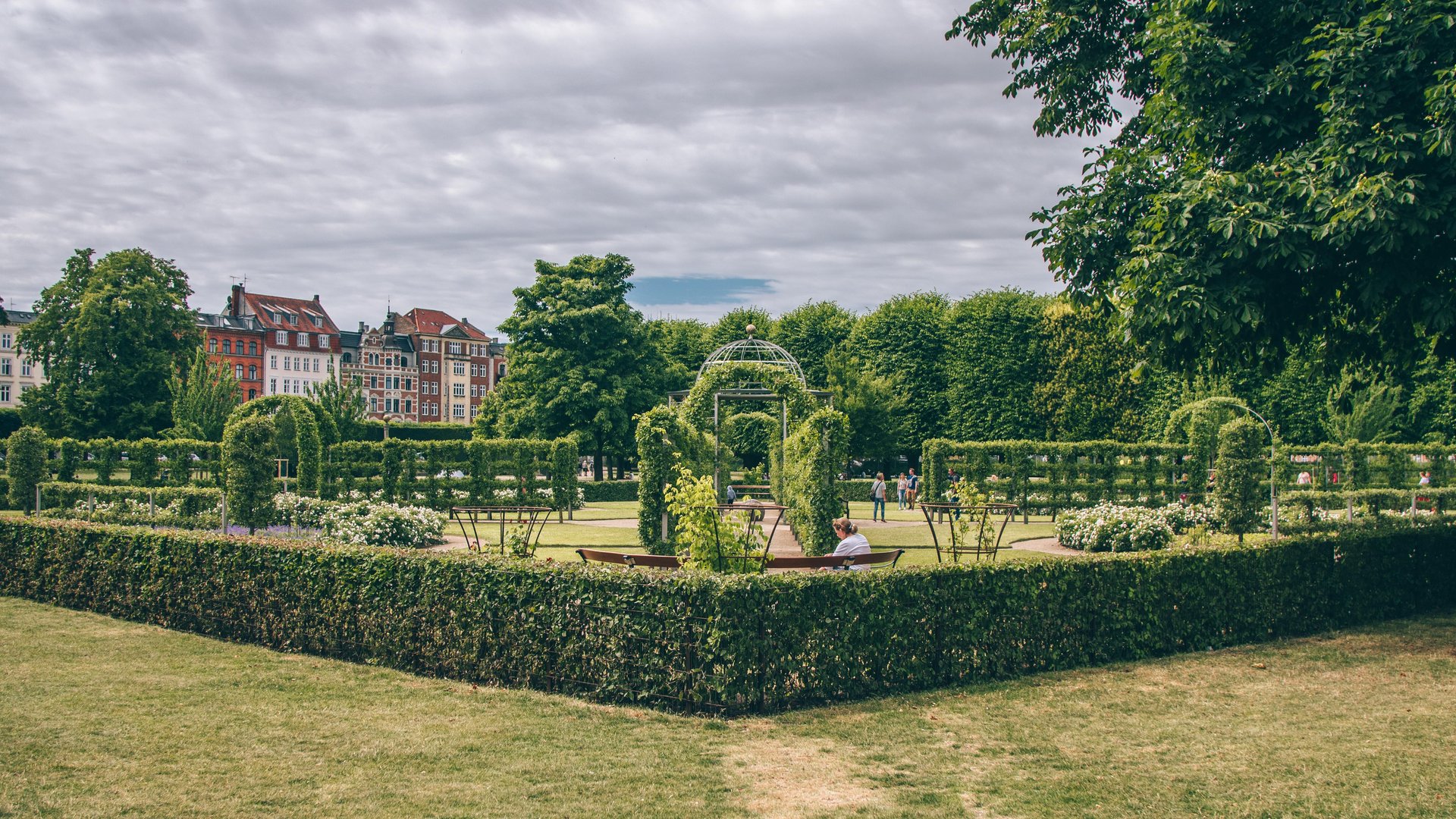 Daniel Rasmussen garden