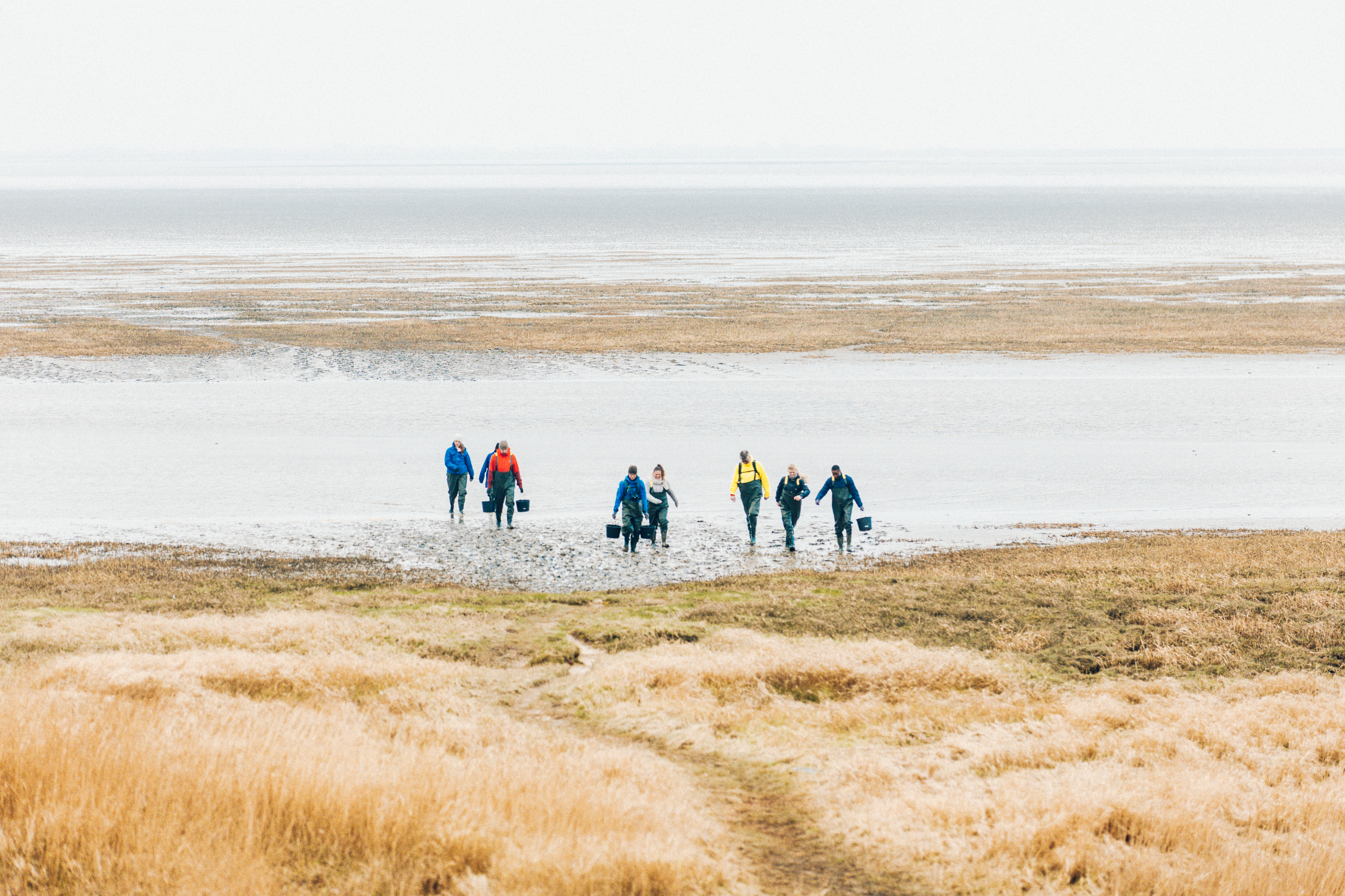 team-building-oyster-safari-wadden-sea-denmark-41-c-bona-fide-stories.jpg
