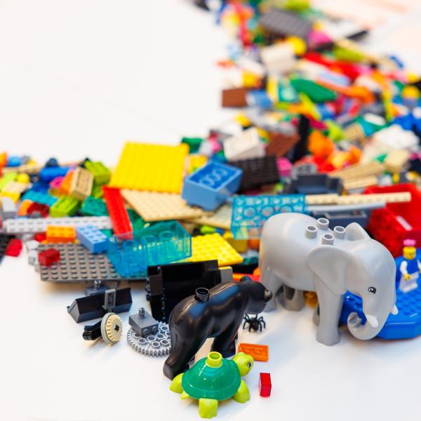 LEGO® SERIOUS PLAY® Workshop 