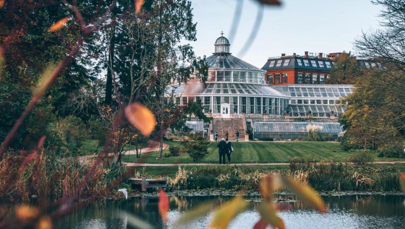 Botanical Garden in Copenhagen in autumn
