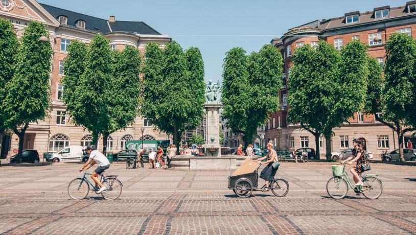 Træer, Skt. Thomas Plads, Cykler