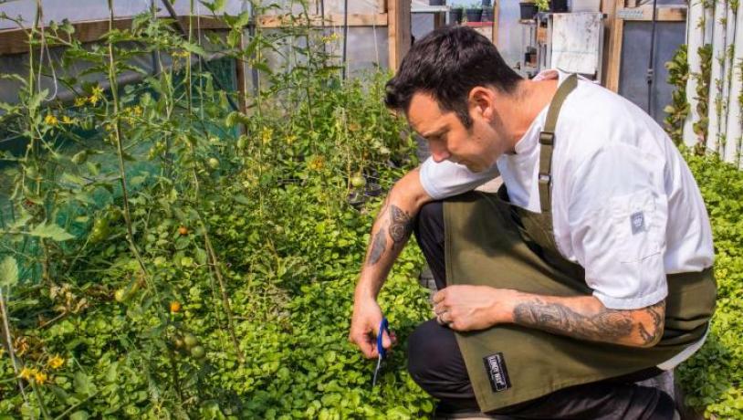 Organic restaurant Amass Copenhagen