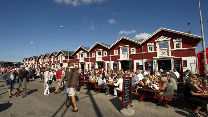 The marina area in Skagen