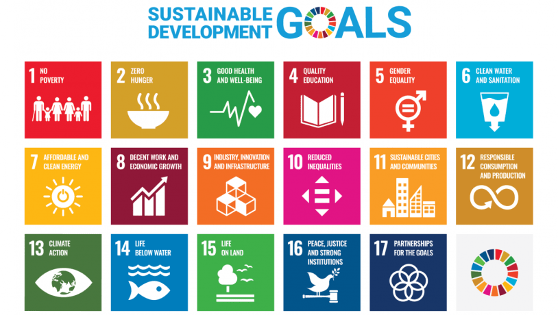 The 17 UN SDG's
